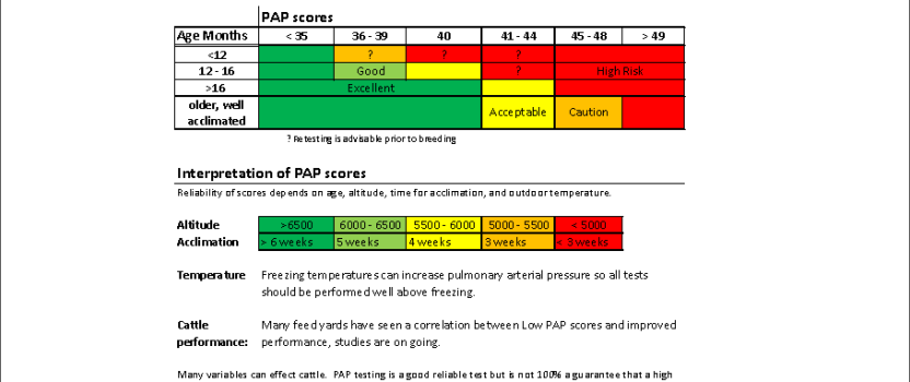 Using PAP Scores