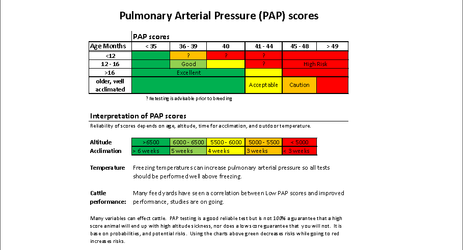 Using PAP Scores